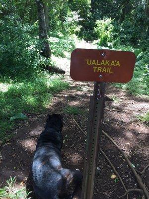 The trail connects to tantalus!