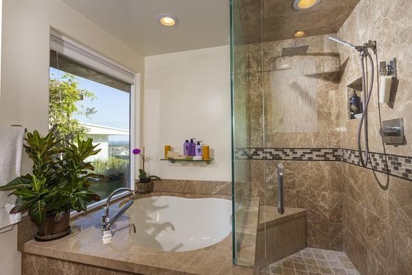 Master Tub Shower