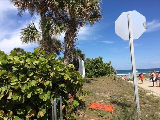 Town of Ponce Inlet