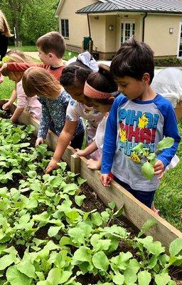 Goshen Friends students enjoy specials in art, music, Spanish and outdoor education.