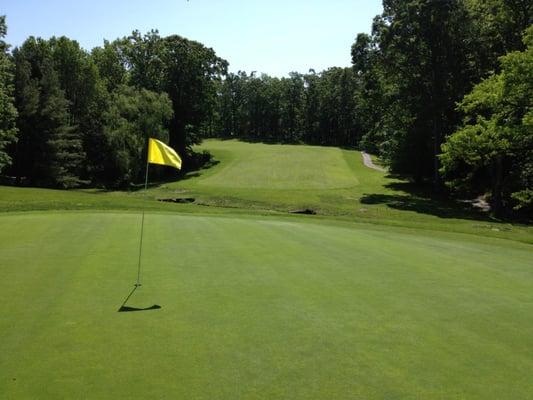 16th hole over stream and surrounded by woods.