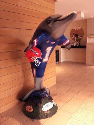 Florida Gators Dolphin for Outback Bowl 2017, Florida Gators vs Iowa Hawkeyes, Raymond James Stadium, Tampa