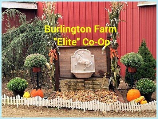 Burlington Farm