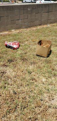 Your company drivers dumping illegal trash on a home back yard.