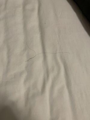 More hair in the sheets