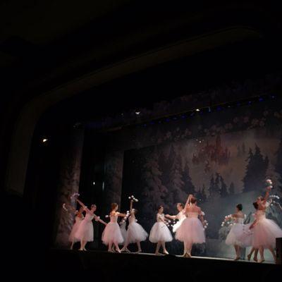 Ballet Theatre Of Scranton