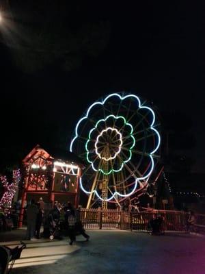 High Sierra Ferris Wheel at night.