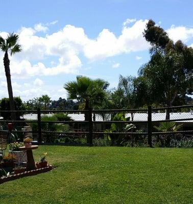 UCV GROUNDS AND VIEW FROM MY AREA, TAKEN FROM THE WALKWAY