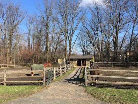 Timber Edge Farm