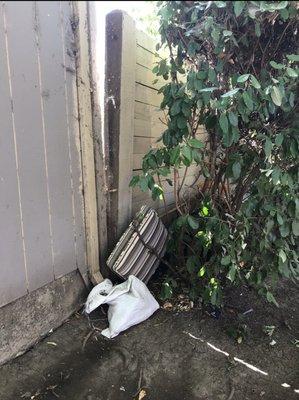 the walkway on the guerneville rd. side of the apt complex, on the way to the SMART train station