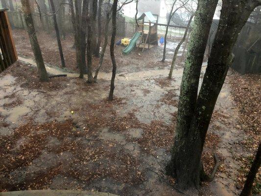 BEFORE - The back yard was a muddy wetland.