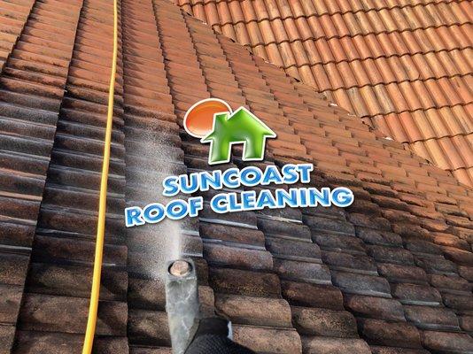 Suncoast Roof Cleaning