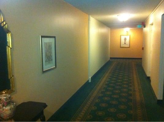 16th floor hallway.