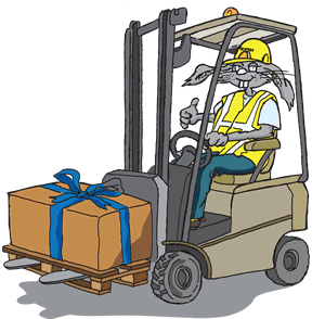 Warehouse Forklift operation