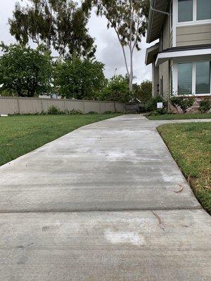 Cement Side Walk