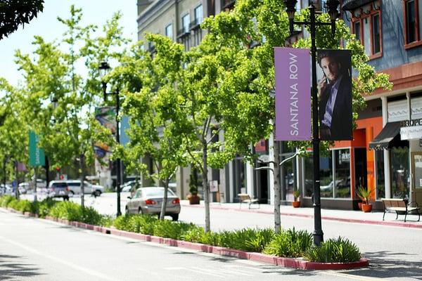 Nearby Santana Row