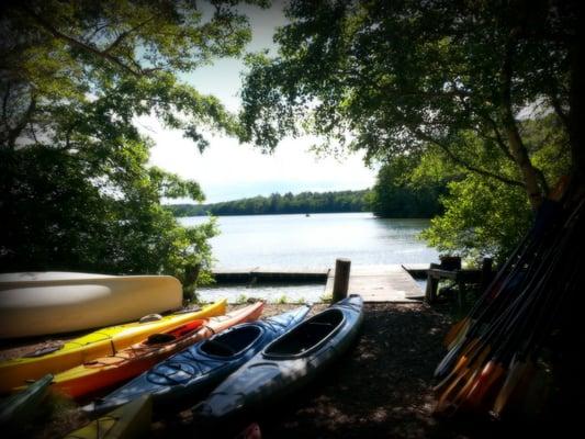 Kayak rentals start at only $25 a day