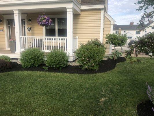 Front Beds of house