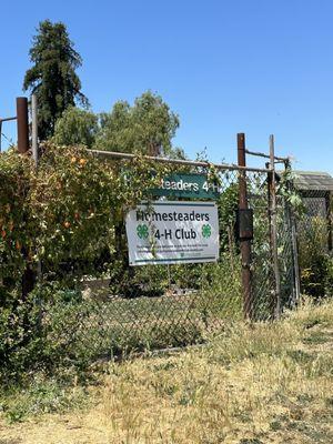 Homesteaders 4-H Ranch