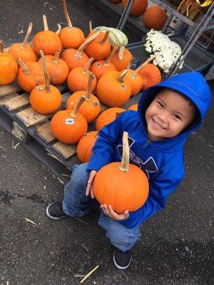 Pumpkin picking!