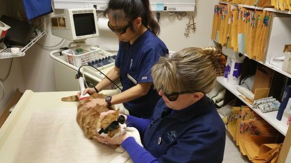 Eagle Fern Veterinary Hospital