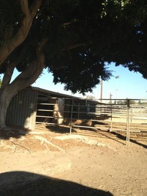 Shaded pipe corral.