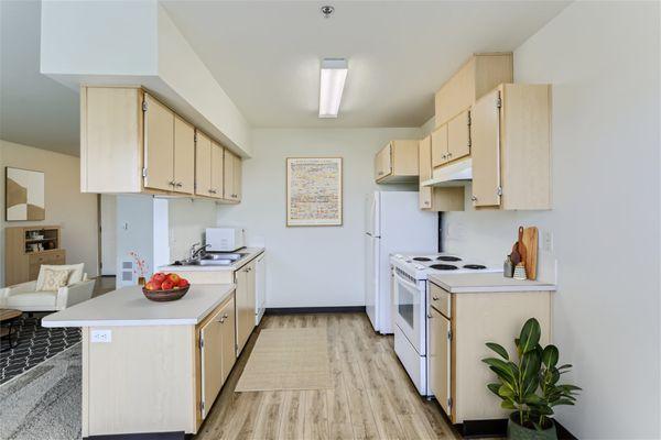 Open concept kitchen with plenty of storage.