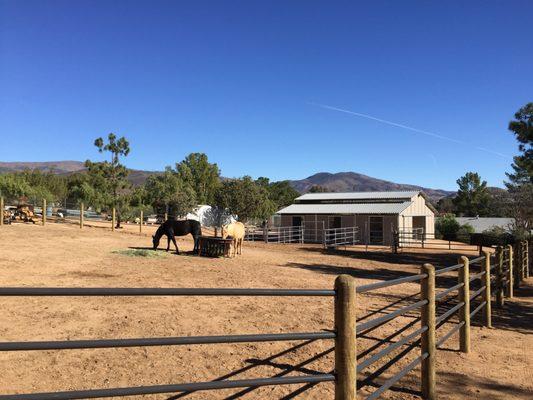 Ponderosa Fencing & Barn