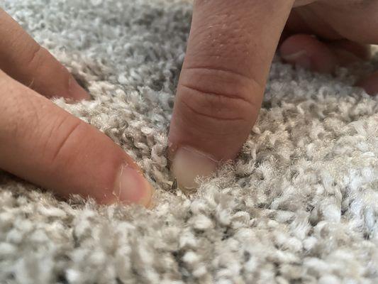 Nail sticking up from carpet - just waiting for my toddler to step on