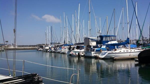 Very nice, clean, well kept marina!