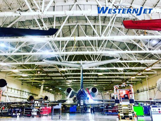 Western Jet Aviation, 19 years in the Business Aviation Industry; bringing excellence, and trustworthy aviation services