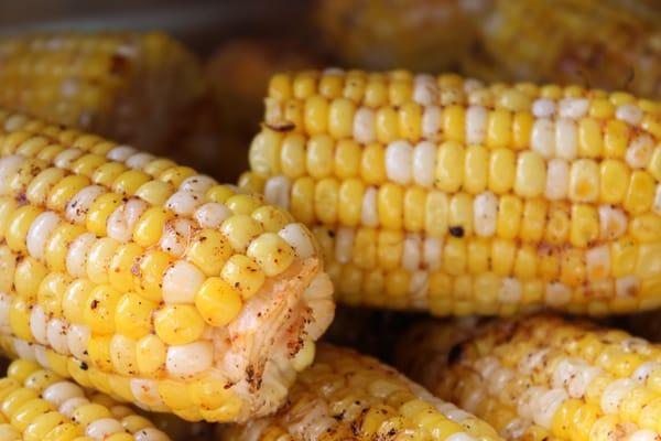 FOC seasoned Grilled Corn on the Cob