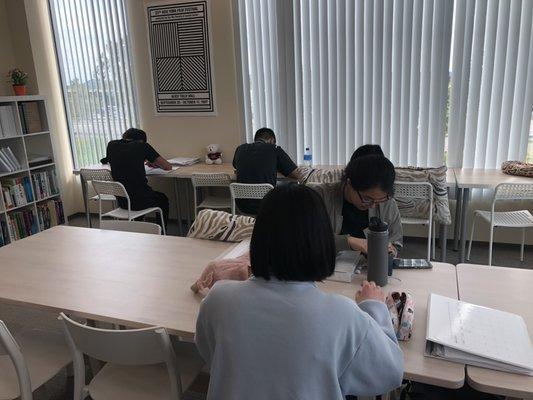 Students studying