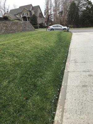 Only fertilized one stripe on each side of my yard.