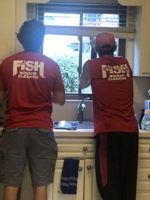 Fish Window Cleaning