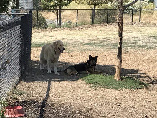 Resting after play!