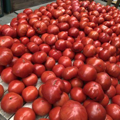 Farm grown tomatoes