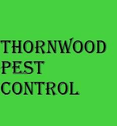 Thornwood Pest Control