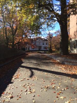 Picture of Hamel House, which is Lasell's Office of Admissions!