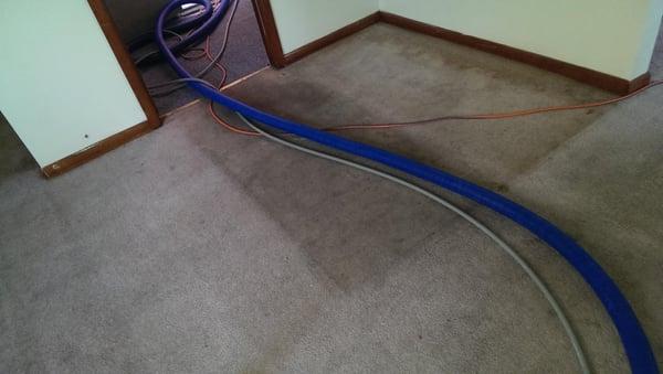 This apartment did not appear to have ever been vacuumed much less cleaned. Non-the-less we were able to clean the carpet wel...