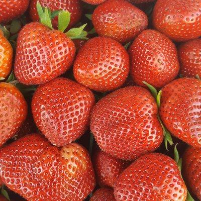 Fresh picke daily Strawberries in So Cal!