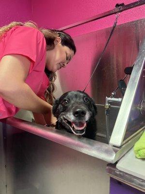 Grooming session with bath and massage.