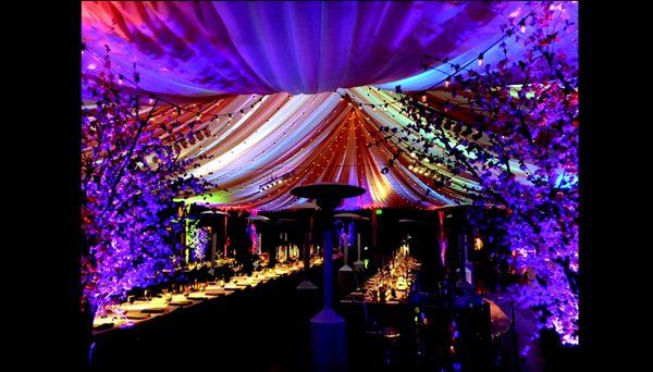 Tent Treatment by Pipe Dream Events