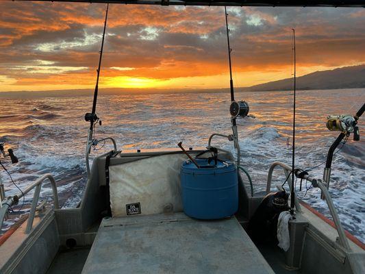 Book a tour watching the greatest show on earth, the epic North Shore Sunset. Aloha!