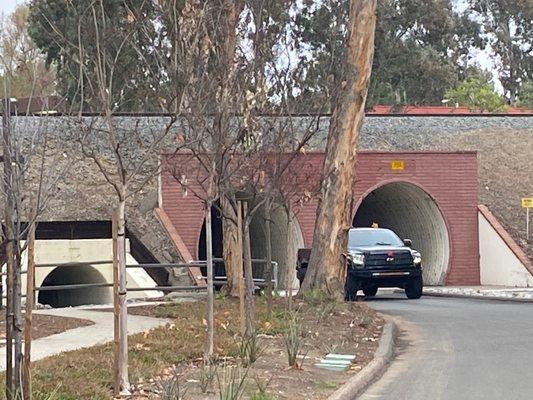 People honk when they go through the tunnel, and love it when the train is overhead!