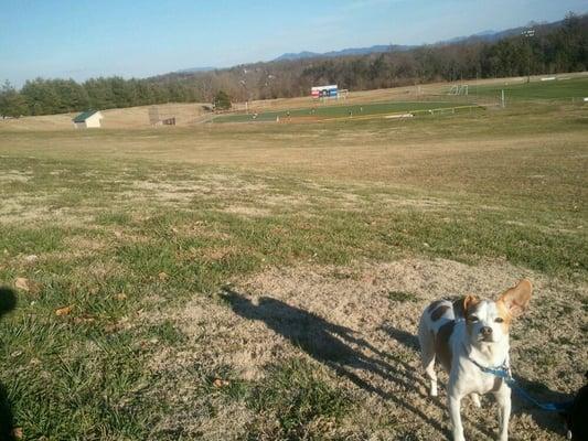 Softball utopia.