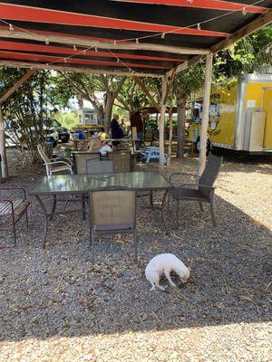 Outdoor seating area and a friendly little dog to keep you company while you wait for your food