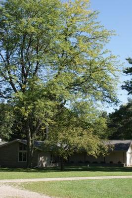 Our facility. The offices and classrooms are in the old house