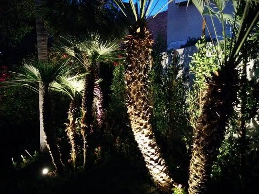 LED landscape lighting