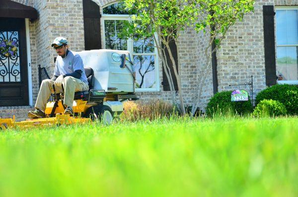 Lawn care and maintenance in San Juan Capistrano. Lawn mowing service.